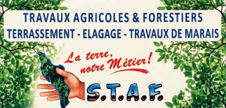 staf-logo