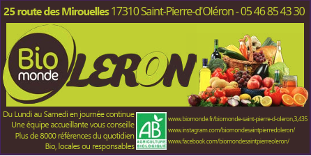 leron-logo